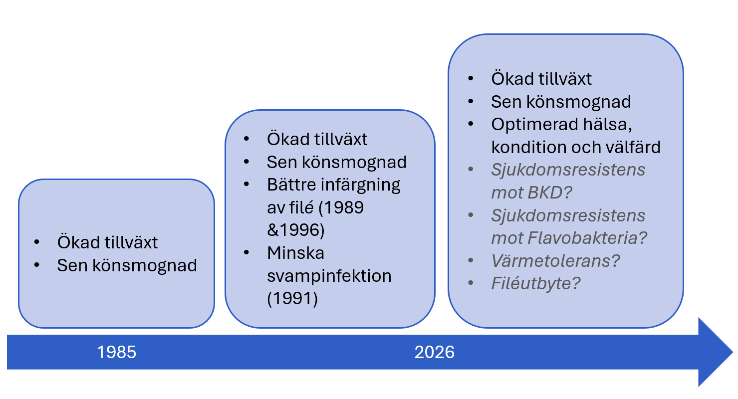 Utveckling av avelsmål